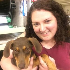 Meet your Posher, Elise